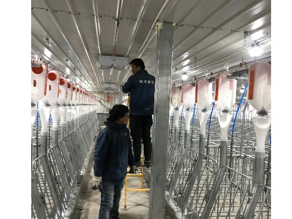 養(yǎng)豬場(chǎng)視頻監(jiān)控系統(tǒng)安裝，從布線到安裝需要的就是嚴(yán)謹(jǐn)