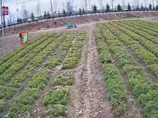 樹苗基地安防監(jiān)控系統(tǒng)怎么樣才安全？來看這里！